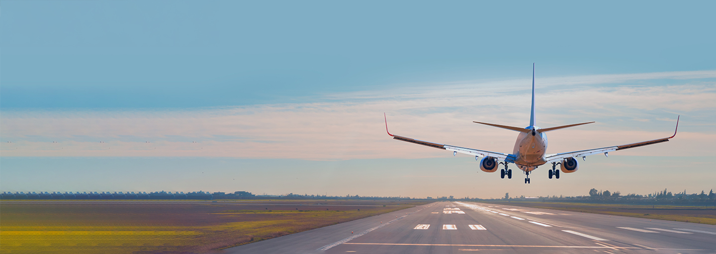 Flight Search