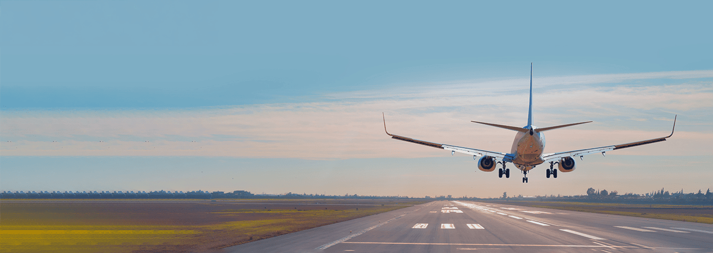 Flight Search